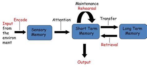Memory Store Solutions