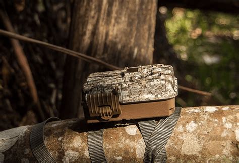 Moultrie Game Camera Reviews The Brand S Best Trail Cams 2024 Moultrie Game Camera Reviews The Brand S Best Trail Cams 2024