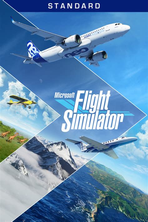 MS Flight Simulator on Steam