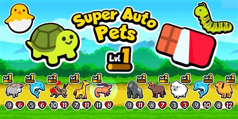 Pets Auto Care Tips