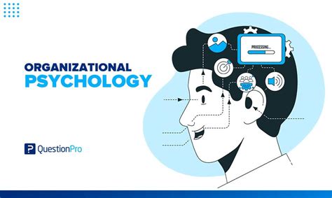 Phd Organizational Psychology