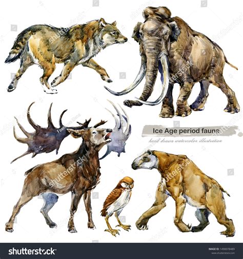 Pin On Un Ice Age Creatures