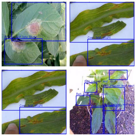 Plant Disease Detection Using The Plantdoc Dataset And Pytorch Vrogue Plant Disease Detection Using The Plantdoc Dataset And Pytorch Vrogue