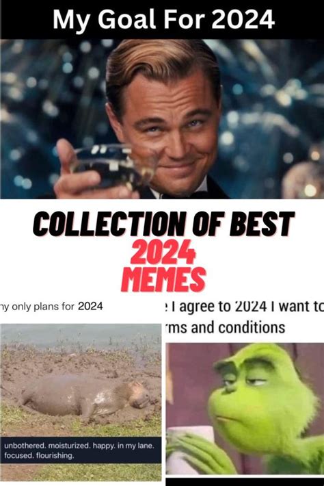 Popular Memes 2024