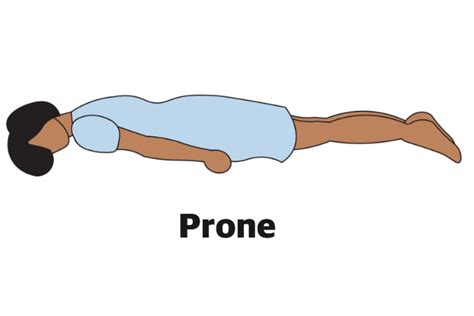 Prone Position Meaning Prone Position Meaning