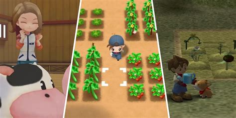 Ranked The Best Harvest Moon Games Thegamer Ranked The Best Harvest Moon Games Thegamer