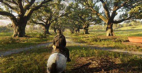 5 Tips Red Dead Redemption 2