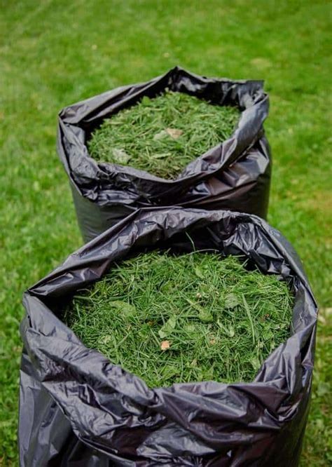 Safe To Use Grass Clippings As Mulch In Garden Beds Solved Safe To Use Grass Clippings As Mulch In Garden Beds Solved