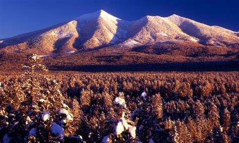 San Francisco Peaks Flagstaff Az