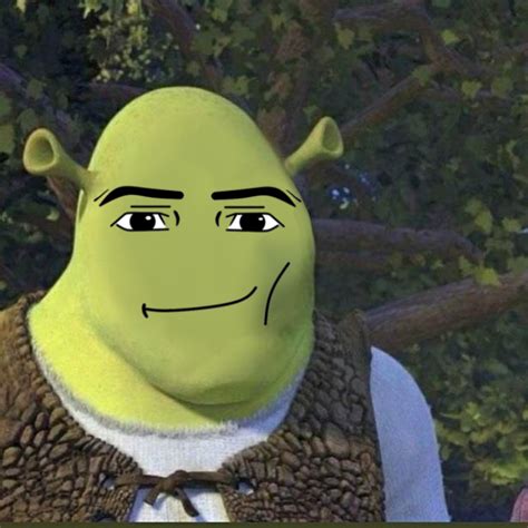 Sherk Roblox Man Face Roblox Funny Shrek Funny Male Face