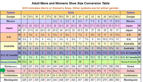 Shoe Size In Inches Foot Length To Shoe Size Converter And Shoe Size Shoe Size In Inches Foot Length To Shoe Size Converter And Shoe Size