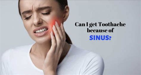 Sinus Infection Tooth Pain