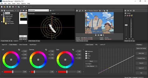 SonyVegas Video Editing Software