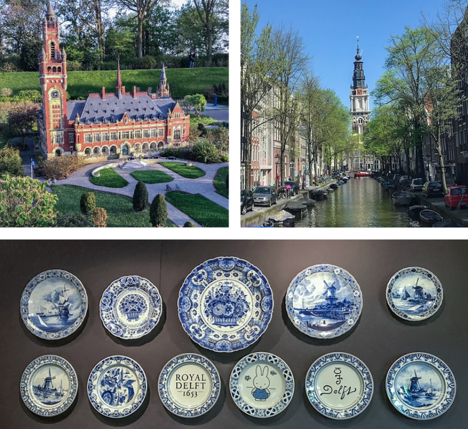 Startpagina Dimensional Insight Netherlands