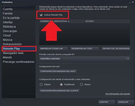 Steam Remote Play