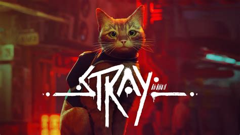 Discover Strauy Benefits Now