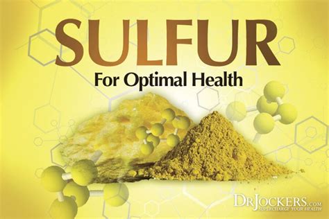 The 12 Best Food Sources Of Sulfur Metabolic Diet Toxic Foods Food The 12 Best Food Sources Of Sulfur Metabolic Diet Toxic Foods Food