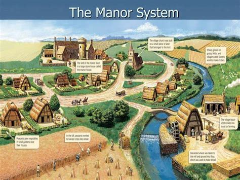 The Manor System