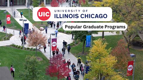 University Of Illinois Graduate Programs