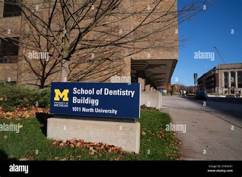 University Of Michigan School Of Dentistry University Of Michigan University Of Michigan School Of Dentistry University Of Michigan