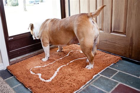 Wet Dog Doormat The Secret To Absorbency Soggy Doggy Soggy Doggy Wet Dog Doormat The Secret To Absorbency Soggy Doggy Soggy Doggy