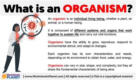 What An Organism What An Organism