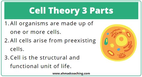 What Are Three Components Of Cell Theory