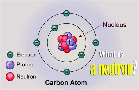 What Charge Does A Neutron Have What Charge Does A Neutron Have