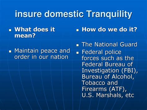 What Does Insure Domestic Tranquility Mean