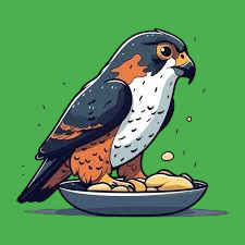 What Does The Hawk Eat