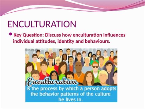 What Is Acculturation Ib Psychology What Is Acculturation Ib Psychology