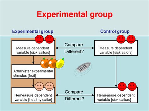 What Is An Experimental Group