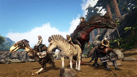 5 Facts New Ark Game