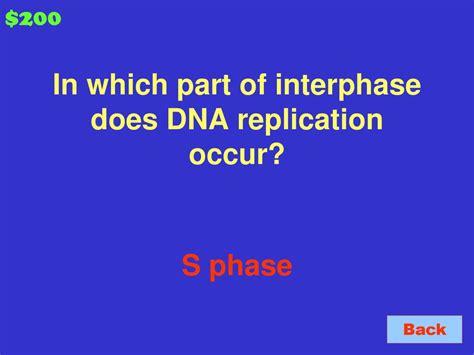 What Part Of Interphase Does Replication Occur