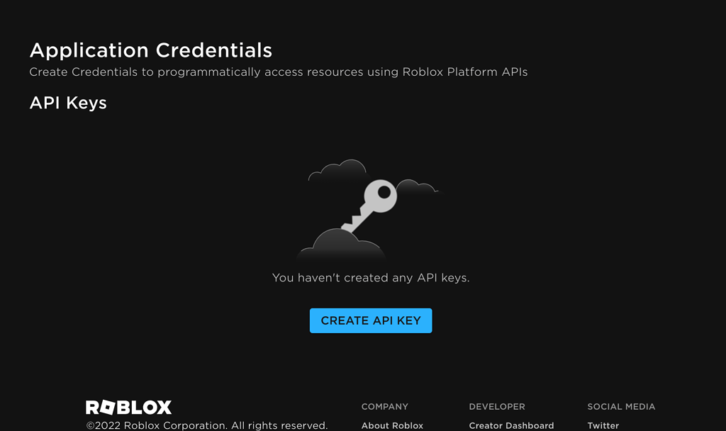 Roblox Scripting Language Used