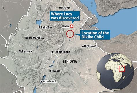 Where Was Lucy Found