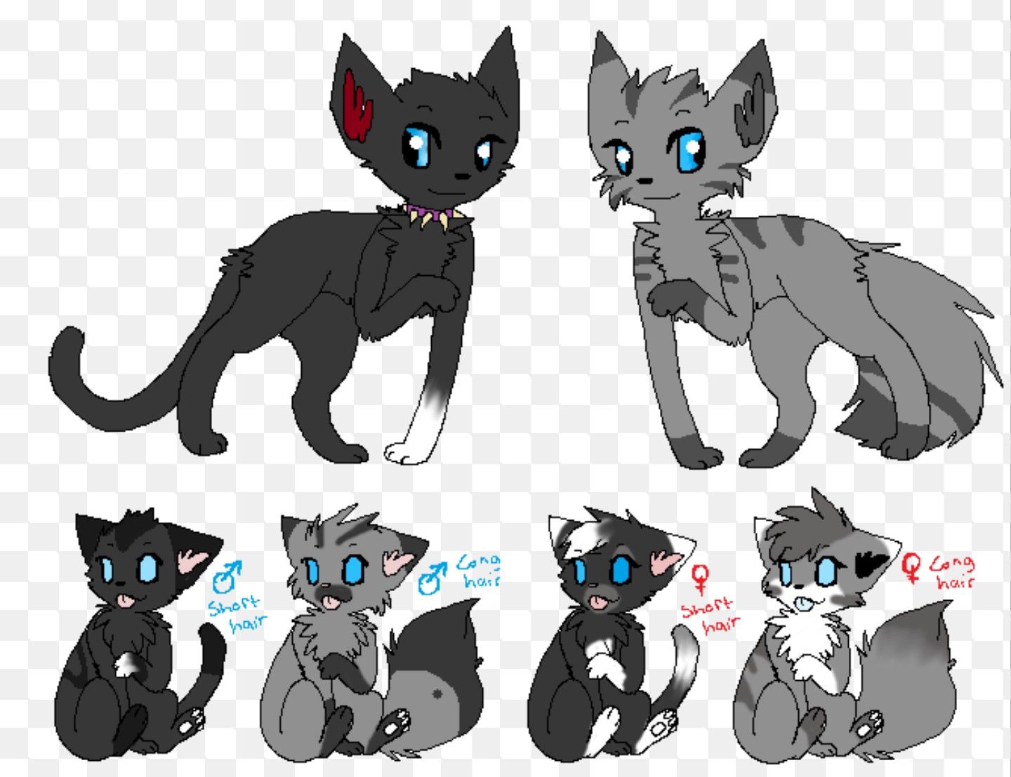 Warrior Cats Guide