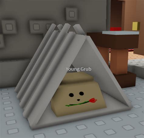 Young Grub Dream Game Fun